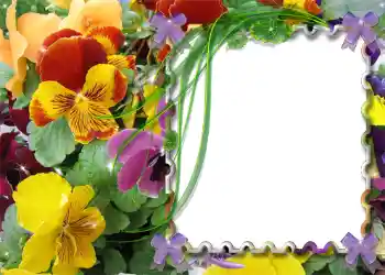 Foto Effekt från kategori Vår № 983 Foto Effekt från kategori Vår № 983