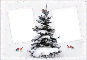 Foto Effekt från kategori Vinter № 105223