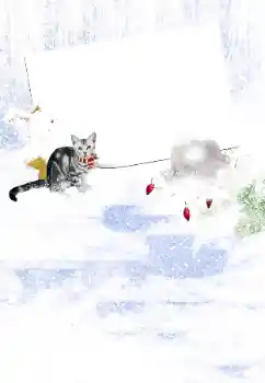 Foto Effekt från kategori Vinter № 105450