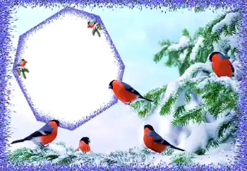 Foto Effekt från kategori Vinter № 105588