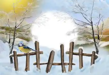 Foto Effekt från kategori Vinter № 110837