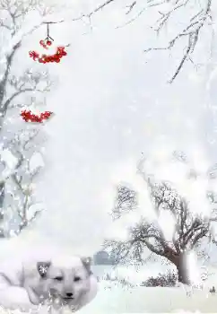 Foto Effekt från kategori Vinter № 111870