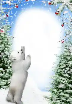 Foto Effekt från kategori Vinter № 111871