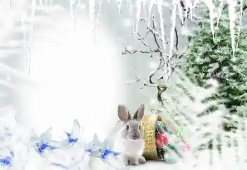 Foto Effekt från kategori Vinter № 128650 Foto Effekt från kategori Vinter № 128650