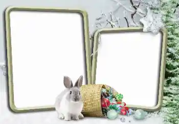 Foto Effekt från kategori Vinter № 148975 Foto Effekt från kategori Vinter № 148975