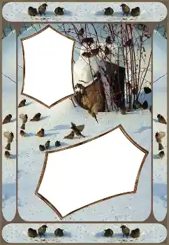 Foto Effekt från kategori Vinter № 151645 Foto Effekt från kategori Vinter № 151645