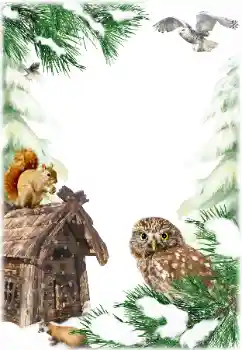 Foto Effekt från kategori Vinter № 160784 Foto Effekt från kategori Vinter № 160784