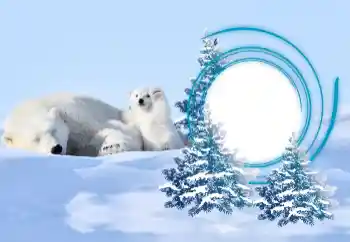 Foto Effekt från kategori Vinter № 163218 Foto Effekt från kategori Vinter № 163218