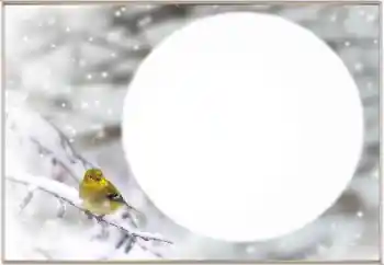 Foto Effekt från kategori Vinter № 163334 Foto Effekt från kategori Vinter № 163334