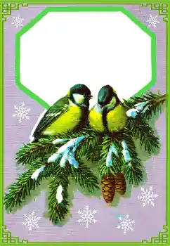 Foto Effekt från kategori Vinter № 177851 Foto Effekt från kategori Vinter № 177851