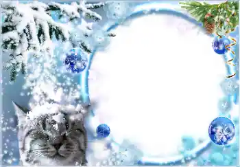 Foto Effekt från kategori Vinter № 178026 Foto Effekt från kategori Vinter № 178026