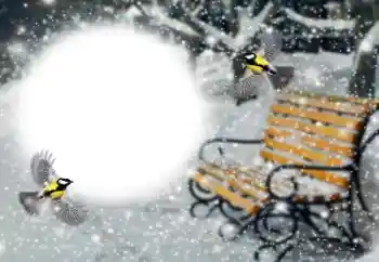 Foto Effekt från kategori Vinter № 191760 Foto Effekt från kategori Vinter № 191760