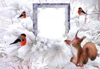 Foto Effekt från kategori Vinter № 194148 Foto Effekt från kategori Vinter № 194148