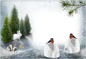 Foto Effekt från kategori Vinter № 3360 Foto Effekt från kategori Vinter № 3360