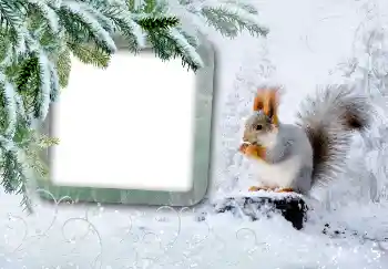 Foto Effekt från kategori Vinter № 3375 Foto Effekt från kategori Vinter № 3375