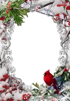 Foto Effekt från kategori Vinter № 3380 Foto Effekt från kategori Vinter № 3380