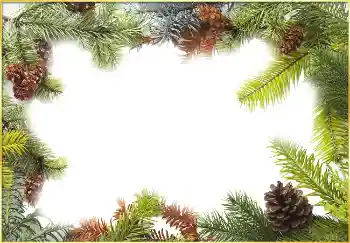 Foto Effekt från kategori Vinter № 3395 Foto Effekt från kategori Vinter № 3395