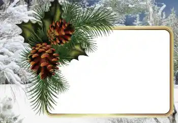 Foto Effekt från kategori Vinter № 34794