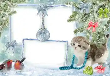 Foto Effekt från kategori Vinter № 38960