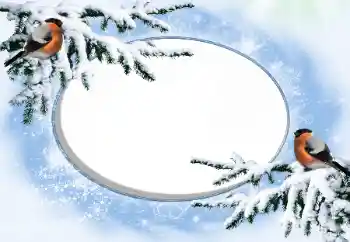 Foto Effekt från kategori Vinter № 42676