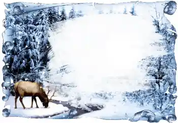 Foto Effekt från kategori Vinter № 42685