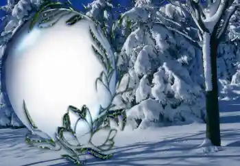 Foto Effekt från kategori Vinter № 5464