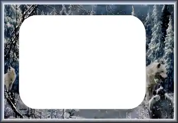 Foto Effekt från kategori Vinter № 60435