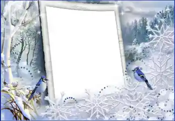 Foto Effekt från kategori Vinter № 60441