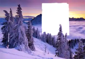 Foto Effekt från kategori Vinter № 62686