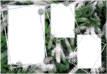 Foto Effekt från kategori Vinter № 64393