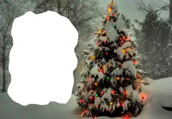 Foto Effekt från kategori Vinter № 65514