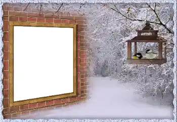 Foto Effekt från kategori Vinter № 65557