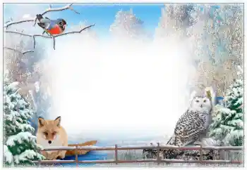 Foto Effekt från kategori Vinter № 67043