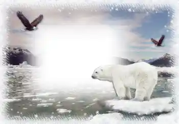 Foto Effekt från kategori Vinter № 67044