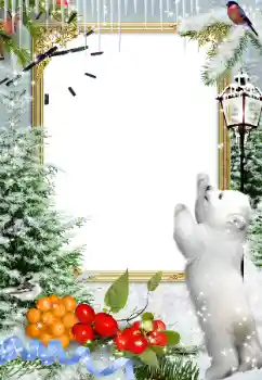 Foto Effekt från kategori Vinter № 81677