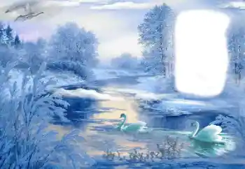 Foto Effekt från kategori Vinter № 85489