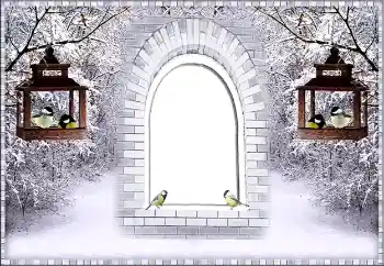 Foto Effekt från kategori Vinter № 87926