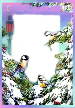 Foto Effekt från kategori Vinter № 89297