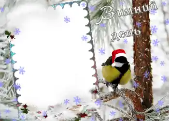 Foto Effekt från kategori Vinter № 974 Foto Effekt från kategori Vinter № 974