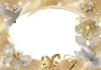 Foto Effekt från kategori Bröllops ramar № 105361 Foto Effekt från kategori Bröllops ramar № 105361