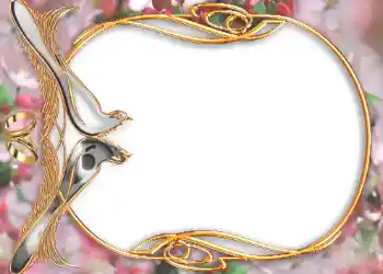 Foto Effekt från kategori Bröllops ramar № 105 Foto Effekt från kategori Bröllops ramar № 105