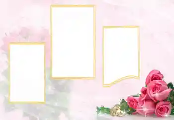 Foto Effekt från kategori Bröllops ramar № 114398 Foto Effekt från kategori Bröllops ramar № 114398