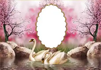 Foto Effekt från kategori Bröllops ramar № 121126