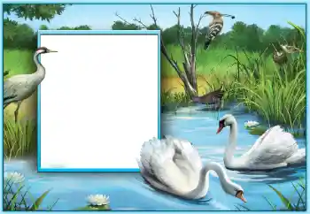 Foto Effekt från kategori Bröllops ramar № 124253