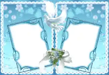 Foto Effekt från kategori Bröllops ramar № 128675