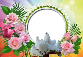 Foto Effekt från kategori Bröllops ramar № 130157