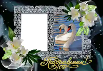 Inskriptionen på ramen: Grattis!