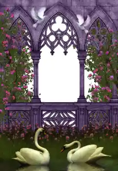 Foto Effekt från kategori Bröllops ramar № 130281