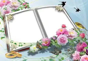 Foto Effekt från kategori Bröllops ramar № 139718