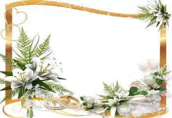 Foto Effekt från kategori Bröllops ramar № 139865